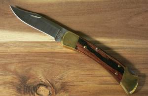 Buck 110 Folding Hunting Knife
