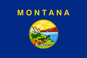 Knife Laws in Montana