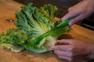 Lettuce knife