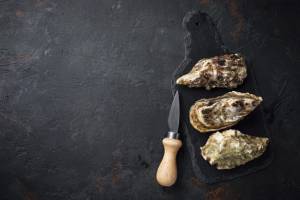 Best oyster knife
