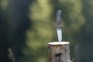 folding survival knife with plastic handle stuck vertically in tree stump